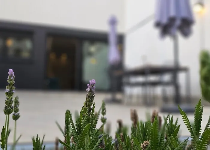 Albayda Garden