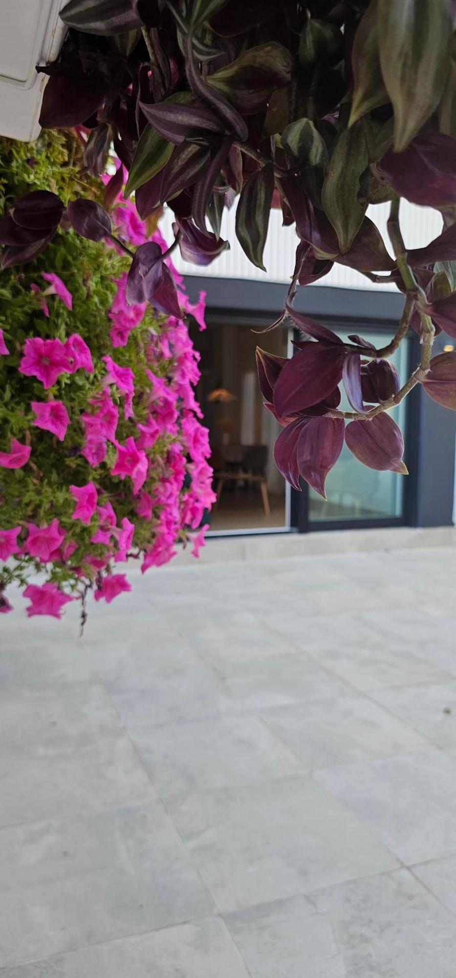 Albayda Garden * Grenade