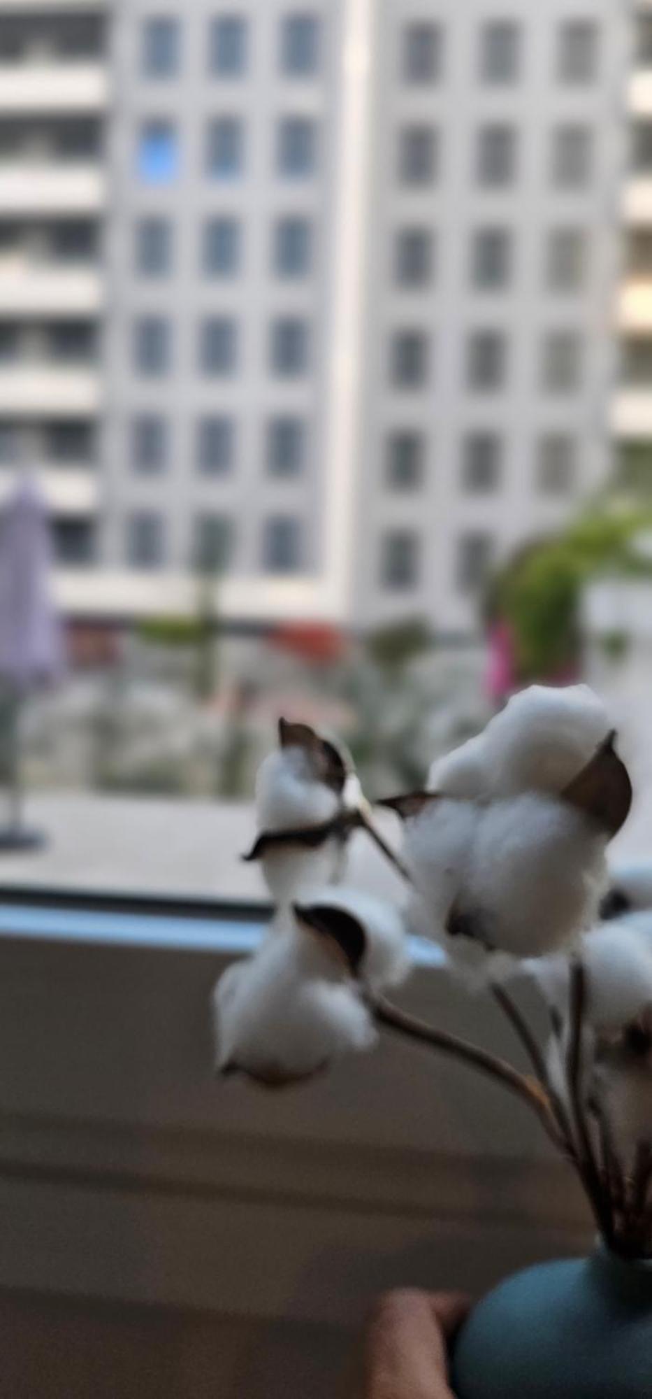 Appartement Albayda Garden *